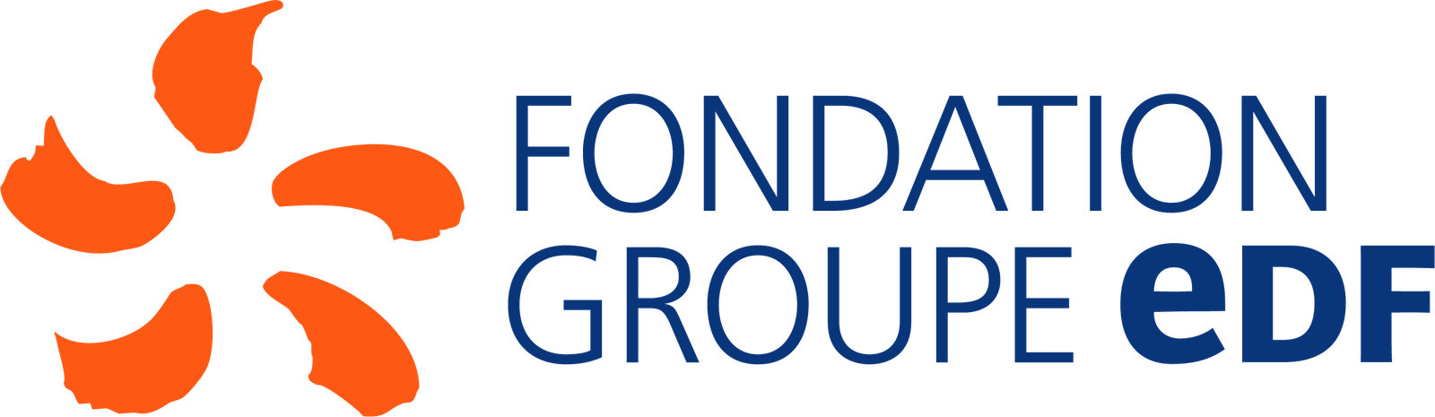Fondation Groupe EDF