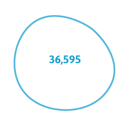 36.595 website visitors