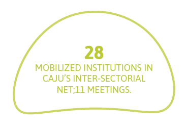 28 mobilized institutions in Caju’s Inter-sectorial Net;11 meetings.